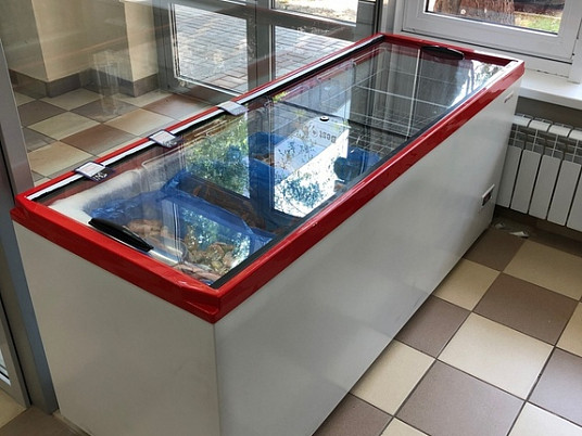 Морозильные Лари PRIME 550C